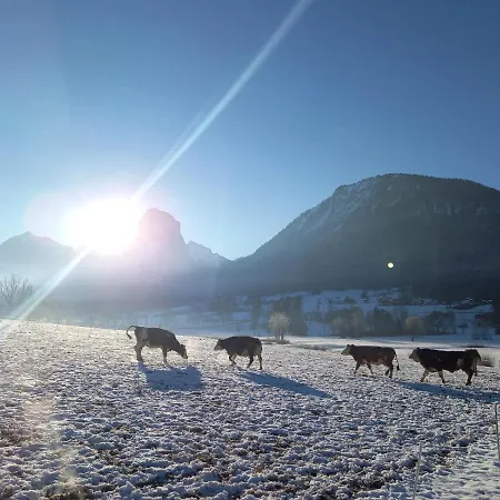 Alojamento de Acomodação e Pequeno-almoço Illighof - Urlaub Am Bauernhof *