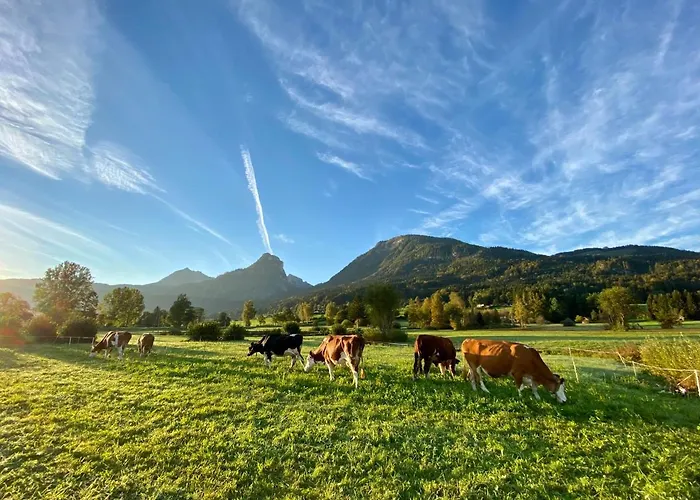Illighof - Urlaub Am Bauernhof 3* Strobl